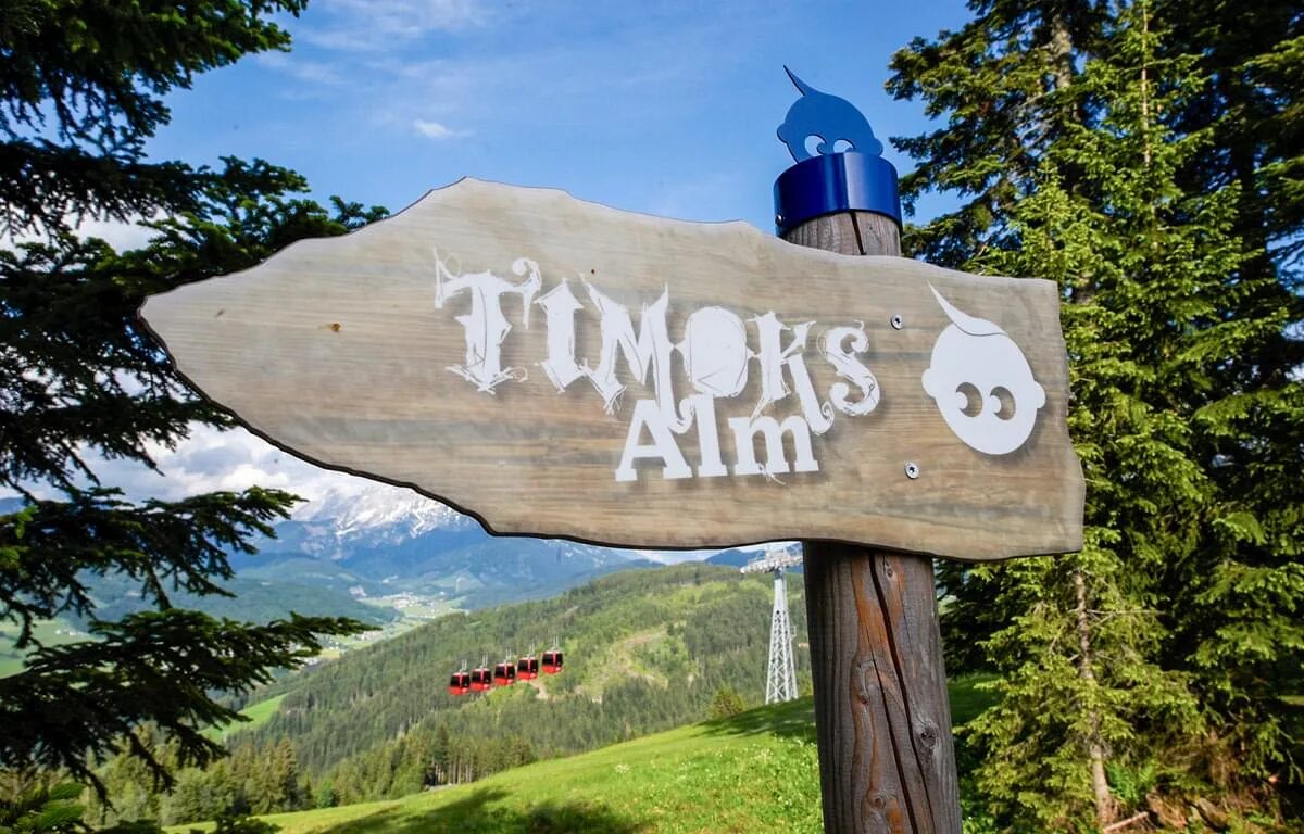 Timoks Alm am Streuböden in Fieberbrunn