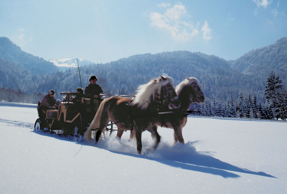 Kutschenfahrt durch den Winter