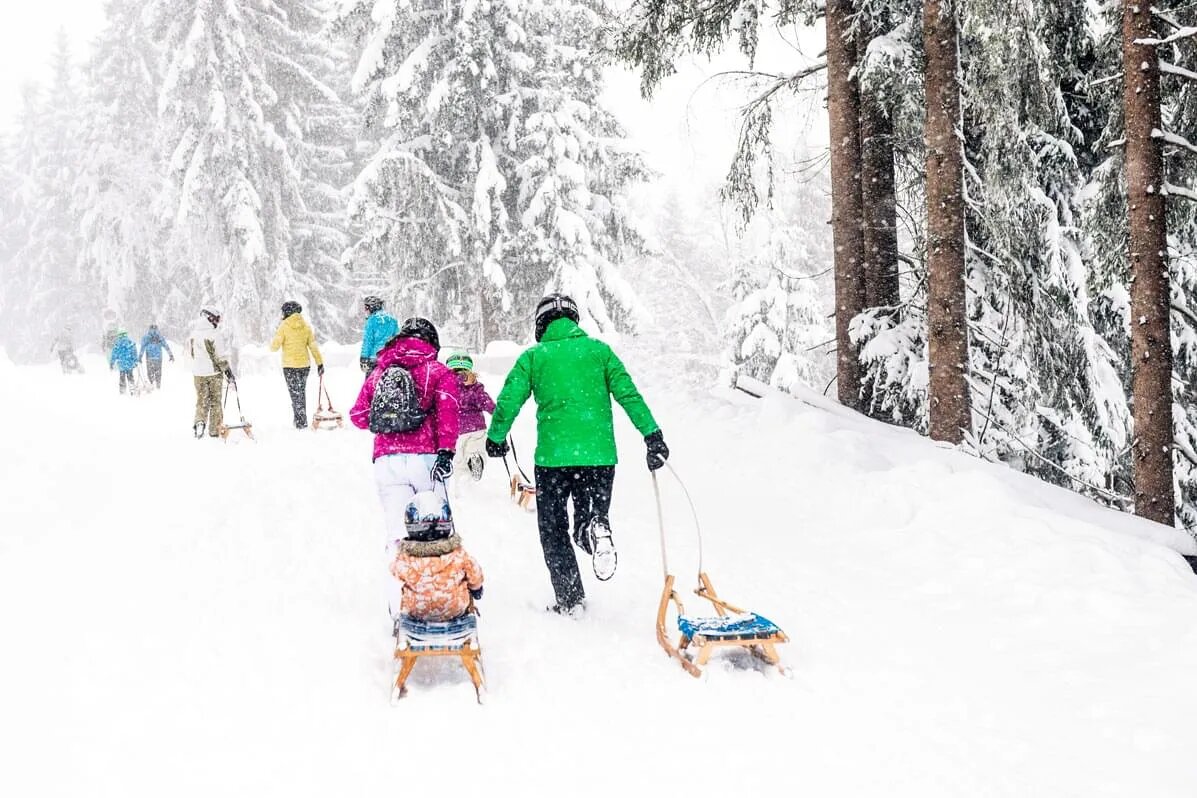 Rodeln in der Region Wilder Kaiser